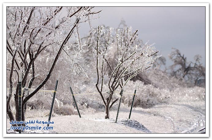  صور لعاصفة ثلجية في ولاية أركنسو   Ice-storm-Arkansas-03