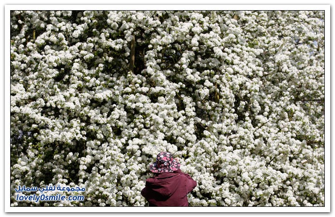 صور اليوم العالمي للأرض Earth-Day-2010-06