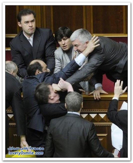 صور قنابل دخانية ولكمات وبيض في البرلمان الأوكراني Fight-Parliament-Ukraine-33