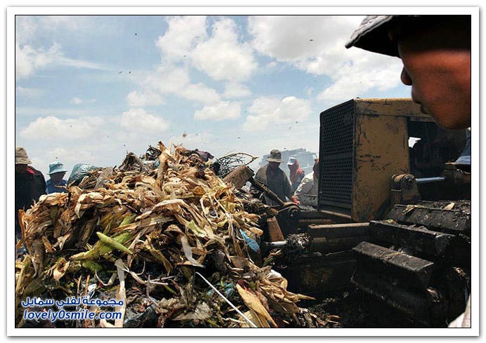    شاهد احداث ومشاهدغريبه بالصور  من العالم Landfill-69