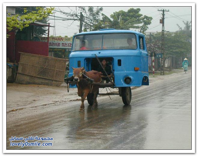 صور لطرق النقل حول العالم ههههههههههههههه جامده Transport-09