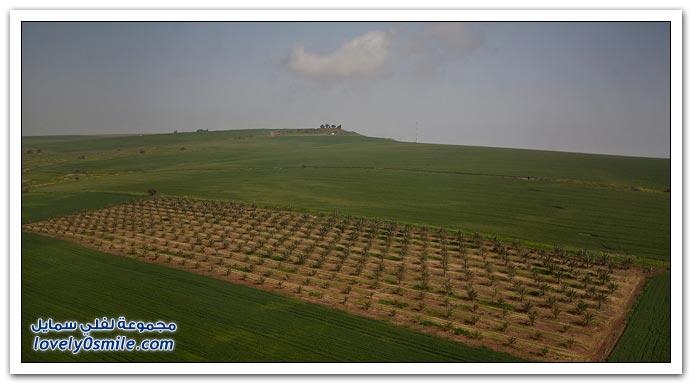  صور من فلسطين (مستوطنات حالية ) Occupied-Palestine-09