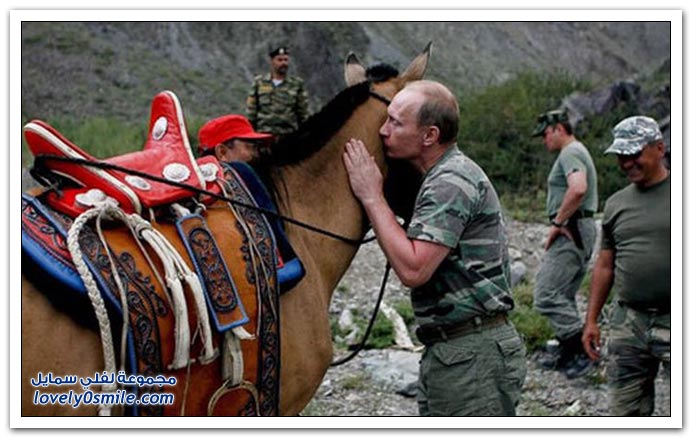 فلاديمير بوتين وحبه للحيوانات Vladimir-putin-15