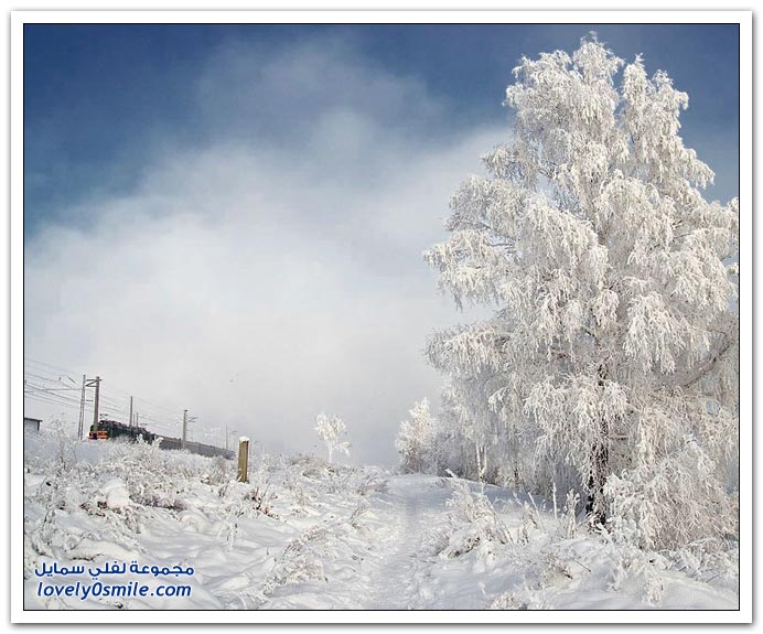 فصل الشتاء Winter-02