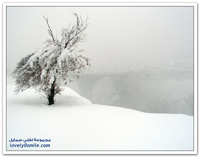 فصل الشتاء Winter-06