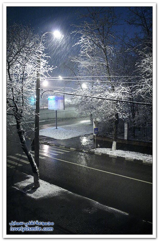 فصل الشتاء Winter-09