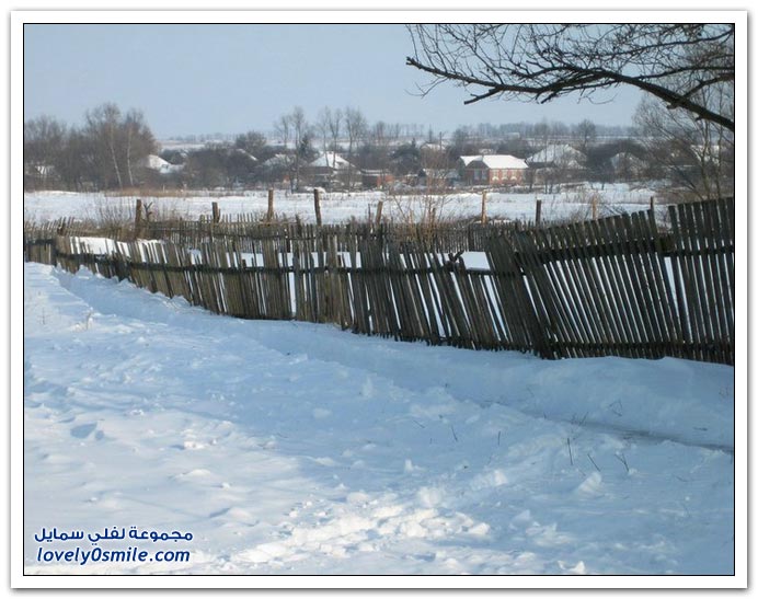 فصل الشتاء Winter-11