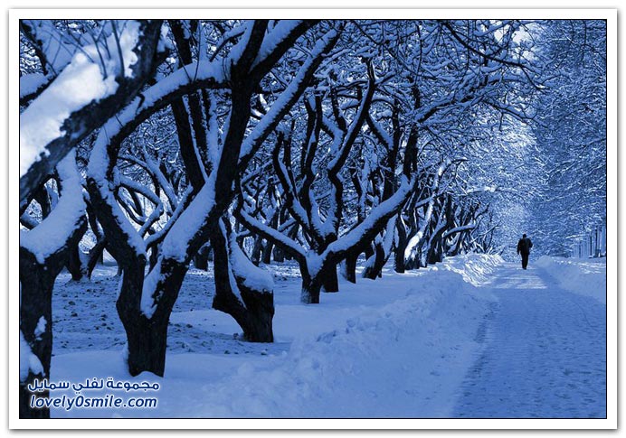 فصل الشتاء Winter-29