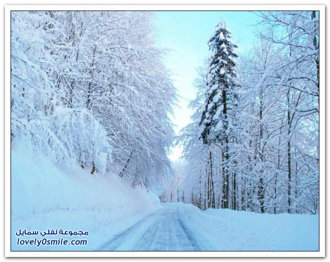 فصل الشتاء Winter-52