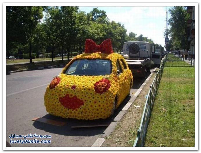 صور نادرة للسيارة في أحوال غريبة Funny-cars-04
