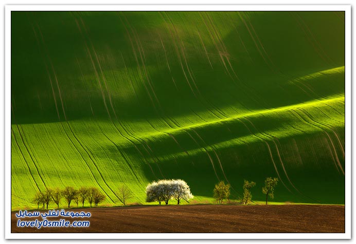 المروج الخضراء في اوربا Green-meadows-in-Europe-01