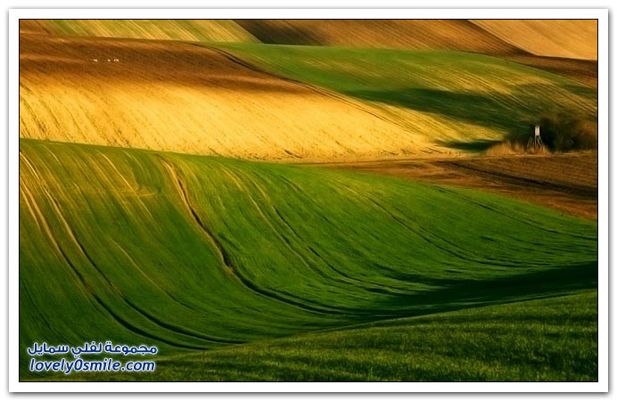 المروج الخضراء في اوربا Green-meadows-in-Europe-06