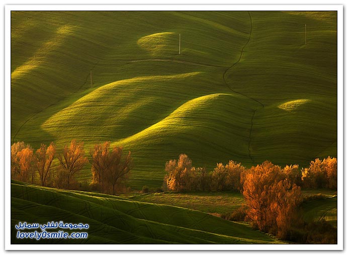 المروج الخضراء في اوربا Green-meadows-in-Europe-09