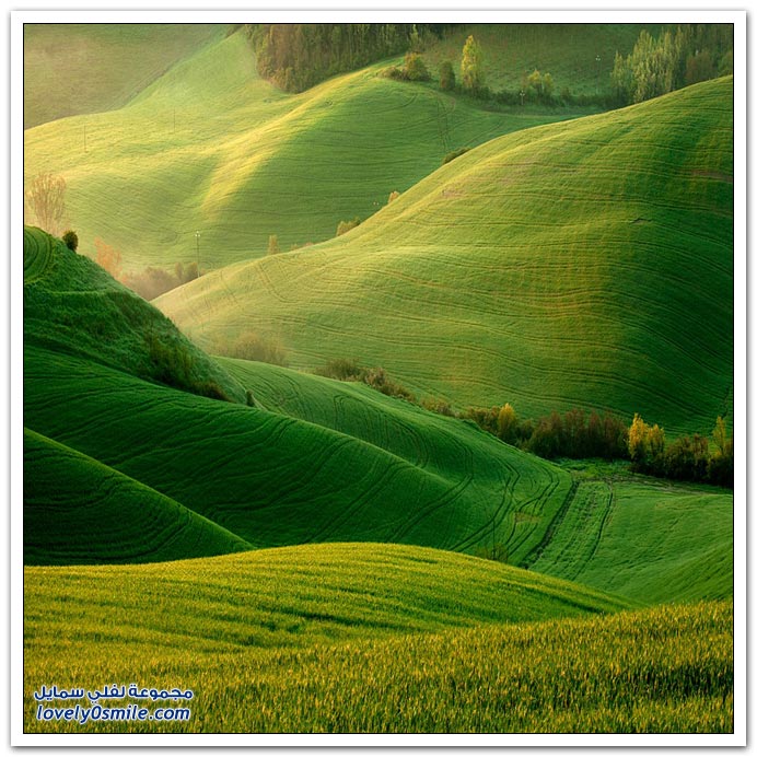 المروج الخضراء في اوربا Green-meadows-in-Europe-18