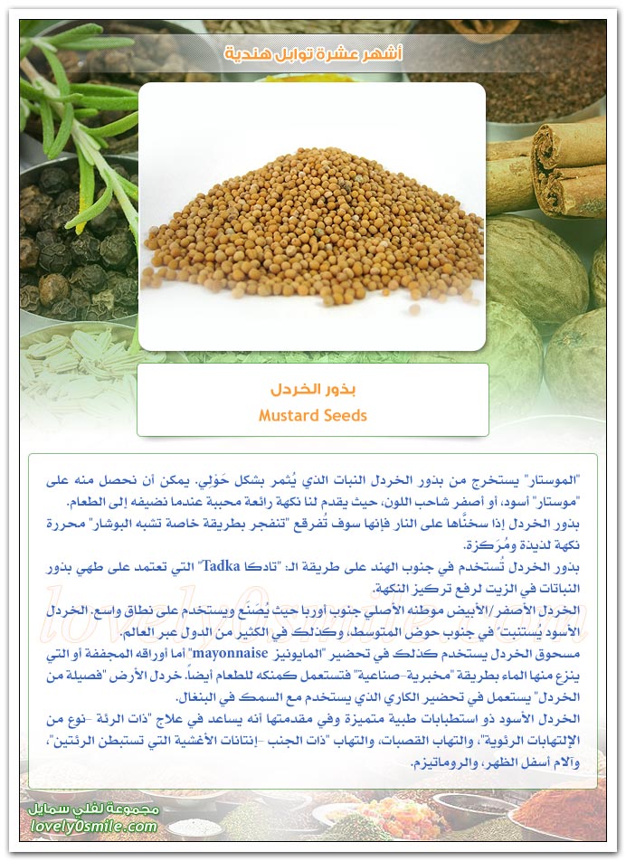 أشهر عشرة توابل هندية TopIndianSpices-07