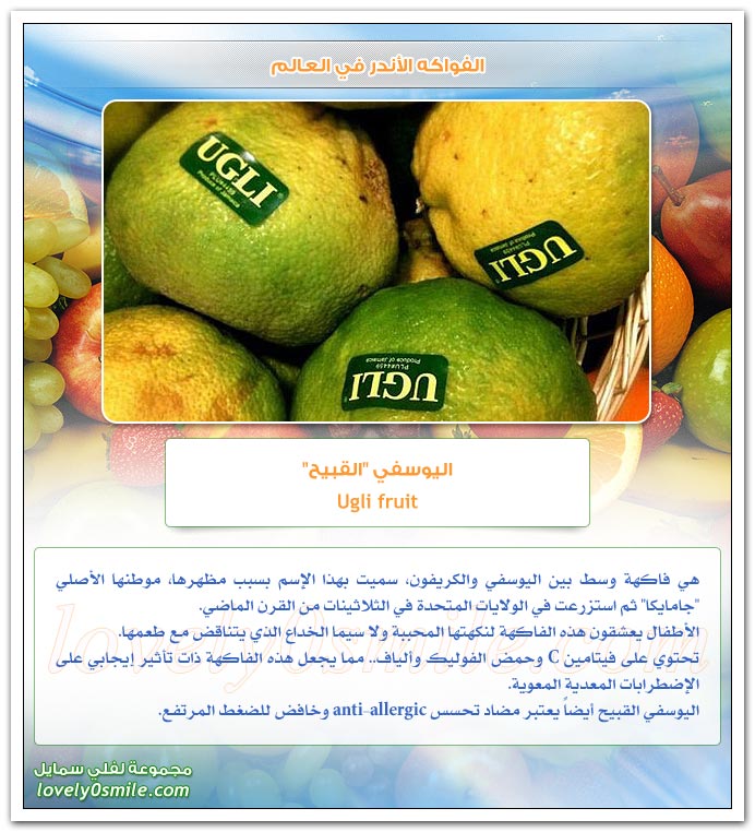 الفواكه الأندر في العالم WorldsRarestFruits-10