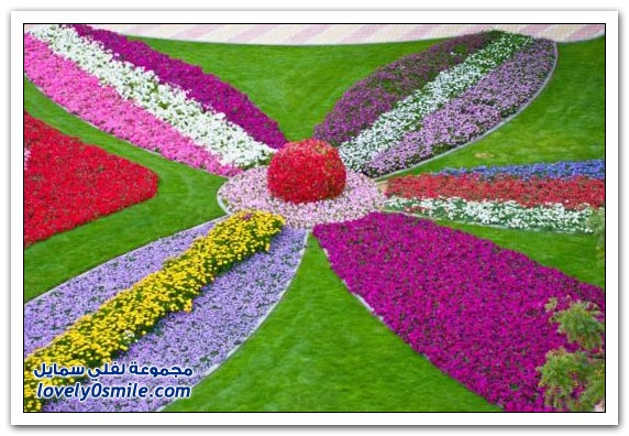 حديقة العين بارادايس في الإمارات التي دخلت موسوعة غينيس Hanging_flowers_05