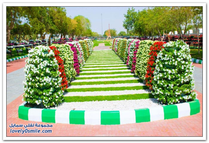 حديقة العين بارادايس في الإمارات التي دخلت موسوعة غينيس Hanging_flowers_19