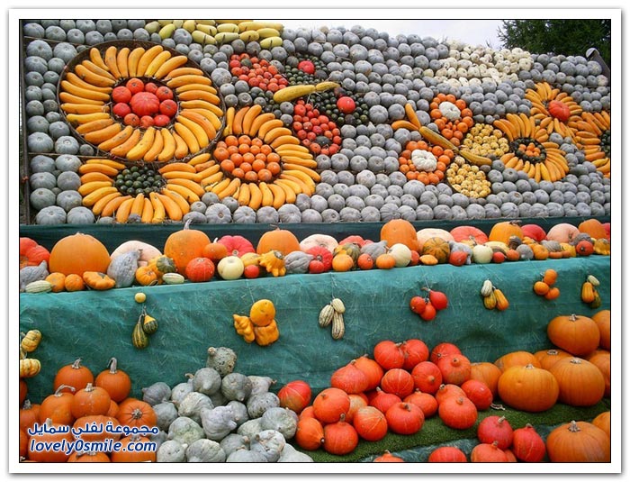 مهرجان القرع والباذنجان في سليندون بإنجلترا ==> اشهار اونلاين  Festival-of-Pumpkins-and-squash-in-England-02