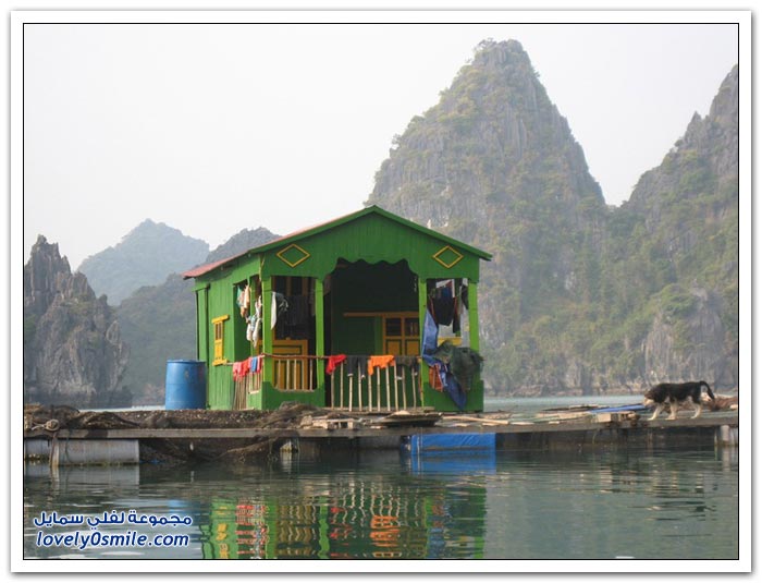 القرية العائمة Floating-near-the-village-of-Cat-Island-in-Vietnam-01