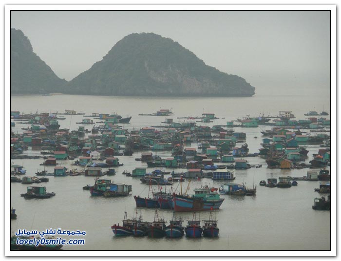 القرية العائمة Floating-near-the-village-of-Cat-Island-in-Vietnam-02