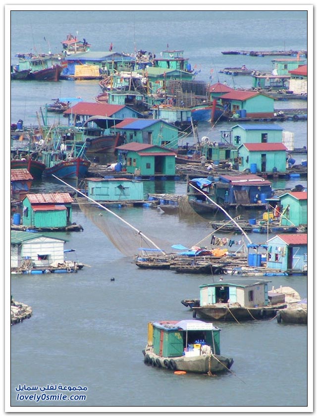 القرية العائمة Floating-near-the-village-of-Cat-Island-in-Vietnam-04