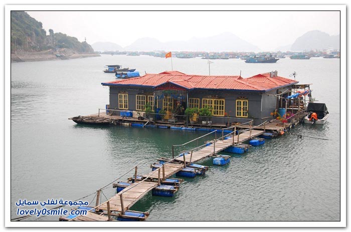 القرية العائمة Floating-near-the-village-of-Cat-Island-in-Vietnam-06