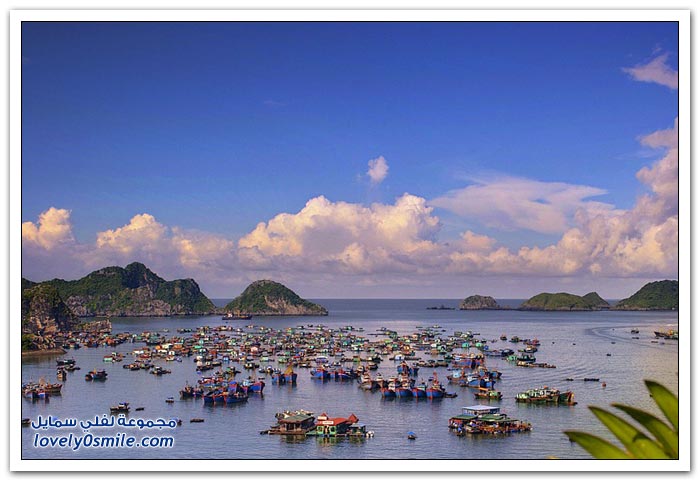 القرية العائمة Floating-near-the-village-of-Cat-Island-in-Vietnam-08