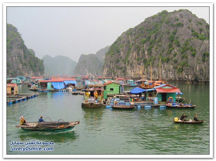 القرية العائمة Floating-near-the-village-of-Cat-Island-in-Vietnam-11