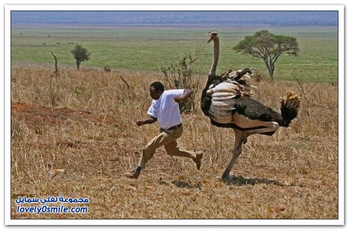 صور ومشاهد غريبة لاتراها إلا فى أفريقيا Only-in-Africa-09