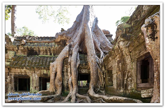 معبد أنكور وات (أنغكور وات) في كمبوديا Temple-of-Angkor-Wat-in-Cambodia-02
