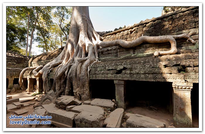    ( )   Temple-of-Angkor-Wat-in-Cambodia-17