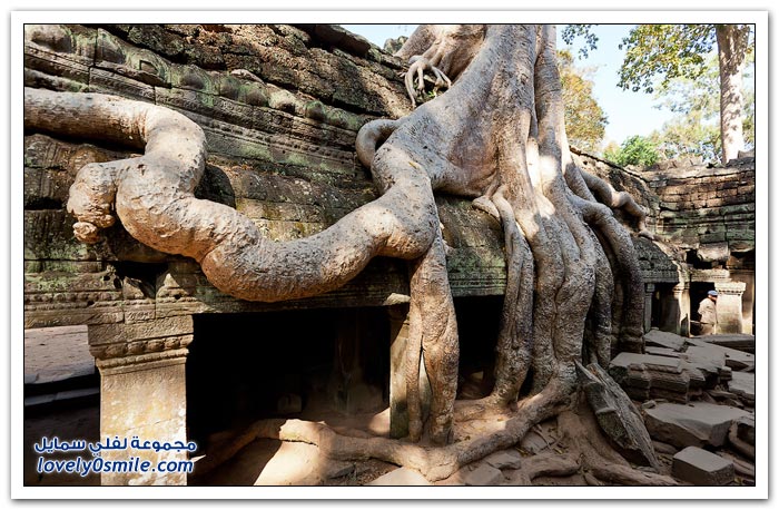    ( )   Temple-of-Angkor-Wat-in-Cambodia-18