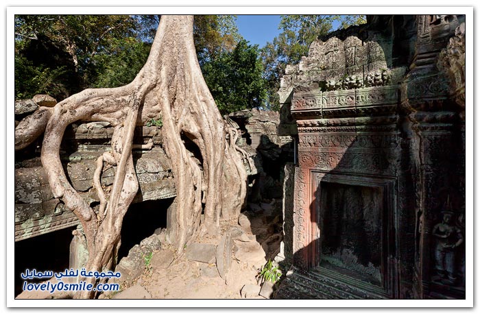    ( )   Temple-of-Angkor-Wat-in-Cambodia-20