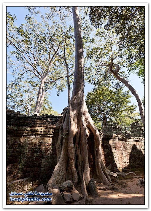    ( )   Temple-of-Angkor-Wat-in-Cambodia-21