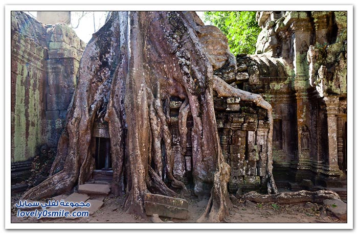    ( )   Temple-of-Angkor-Wat-in-Cambodia-23