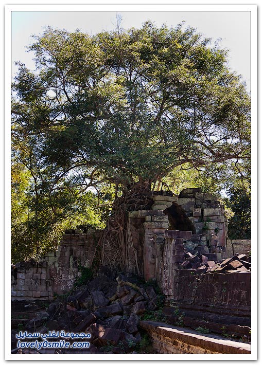 معبد أنكور وات (أنغكور وات) في كمبوديا Temple-of-Angkor-Wat-in-Cambodia-35