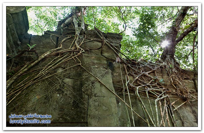    ( )   Temple-of-Angkor-Wat-in-Cambodia-36