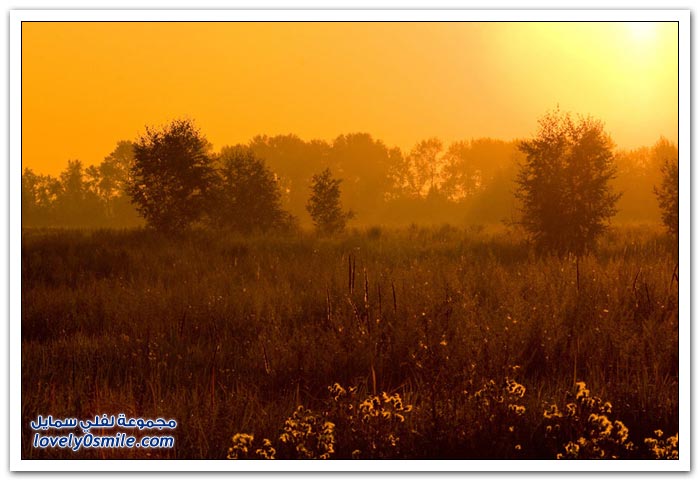 مناظر الطبيعية في سيبيريا الشرقية Landscapes-in-Eastern-Siberia-16