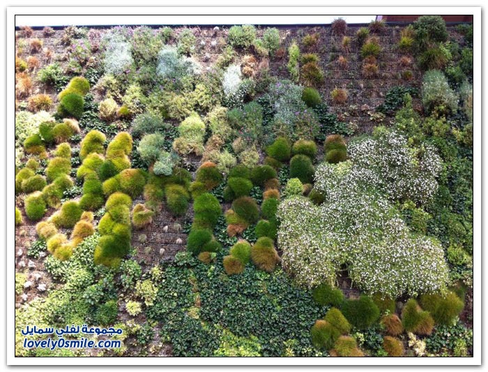 حديقة روتسانو الإيطالية أكبر حديقة عمودية في العالم. Largest-vertical-garden-in-the-world-04