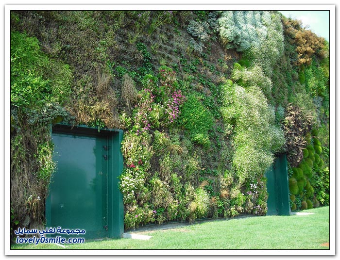 حديقة روتسانو الإيطالية أكبر حديقة عمودية في العالم. Largest-vertical-garden-in-the-world-06