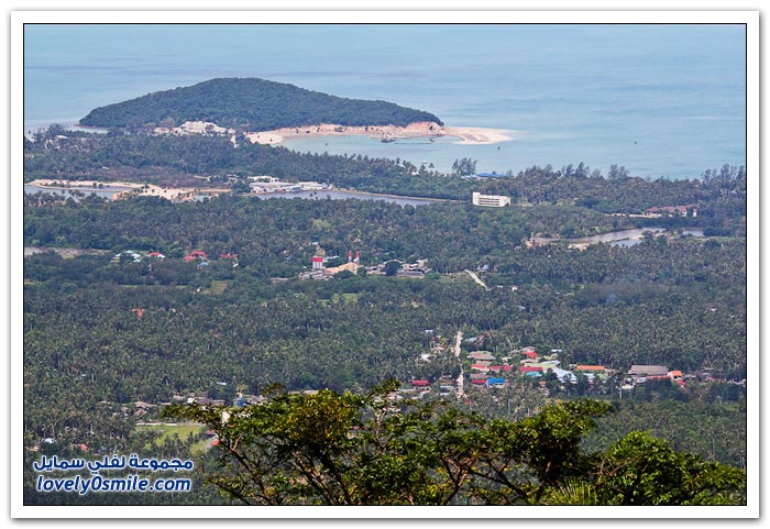 حديقة الحيوان في جزيرة ساموي التايلندية Zoo-in-the-Thai-island-of-Samui-02