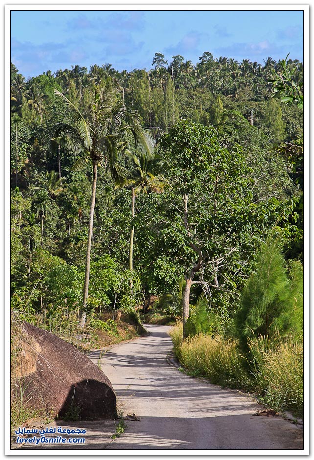 حديقة الحيوان في جزيرة ساموي التايلندية Zoo-in-the-Thai-island-of-Samui-18