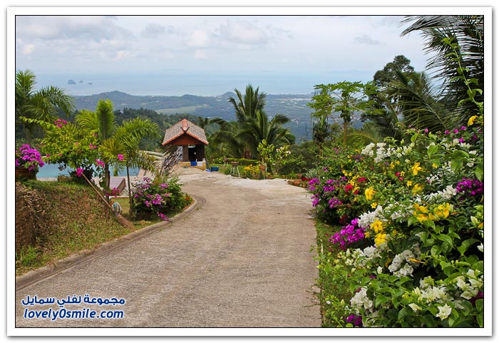 حديقة الحيوان في جزيرة ساموي التايلندية Zoo-in-the-Thai-island-of-Samui-29