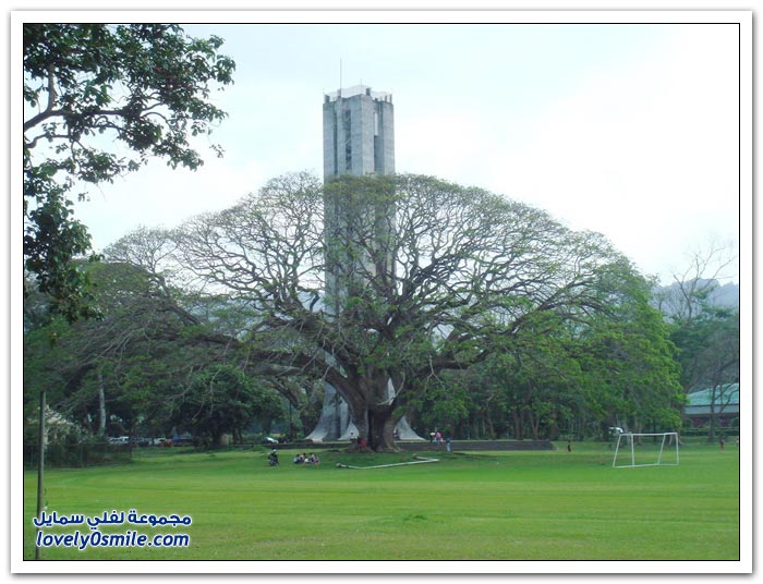 مناظر رائعة من الطبيعة حول العالم  Great-views-of-the-nature-around-the-world-part2-175