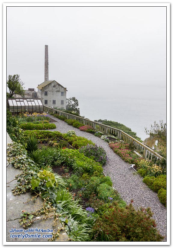 الكاتراز السجن الأكثر شهرة في العالم Alcatraz-prison-in-the-worlds-most-famous-48