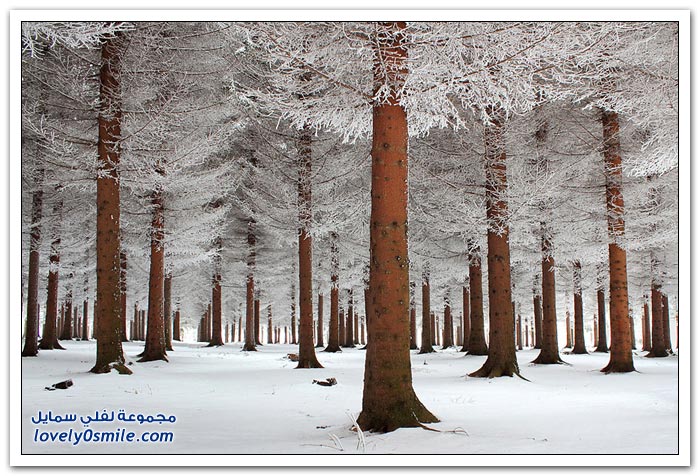 بعض المناظر الطبيعية الرائعة في فصل الشتاء Magnificent-landscape-in-winter-part2-04