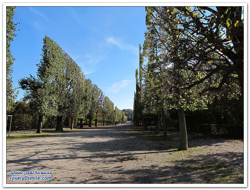 جمال الأشجار المحيطة بقصر شونبرون في فيينا The-surrounding-trees-Schonbrunn-Palace-in-Vienna-08