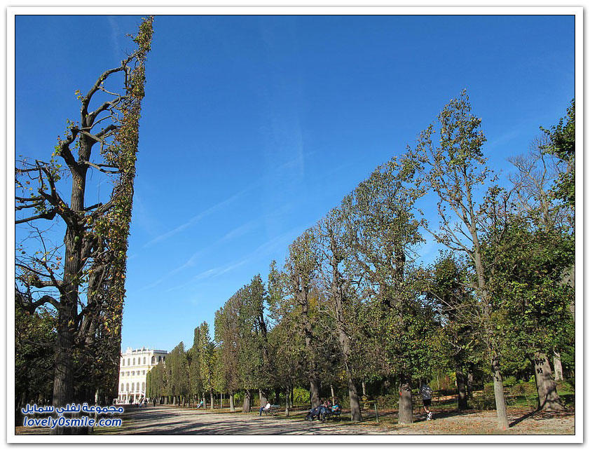 جمال الأشجار المحيطة بقصر شونبرون في فيينا The-surrounding-trees-Schonbrunn-Palace-in-Vienna-09