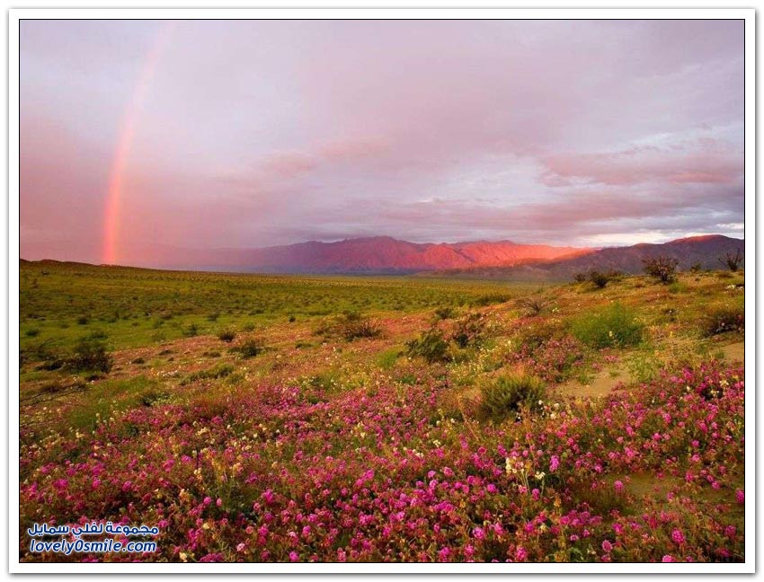 الظواهر الطبيعية الغير عادية Natural-phenomena-rarely-did-not-see-them-19